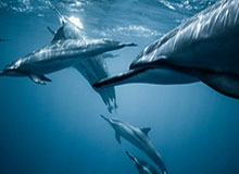 MK体育入口：让运动从入口开始，体验从社群延展